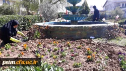 آماده سازی فضای سبز پردیس در آستانه فرا رسیدن بهار به روایت تصویر 6
