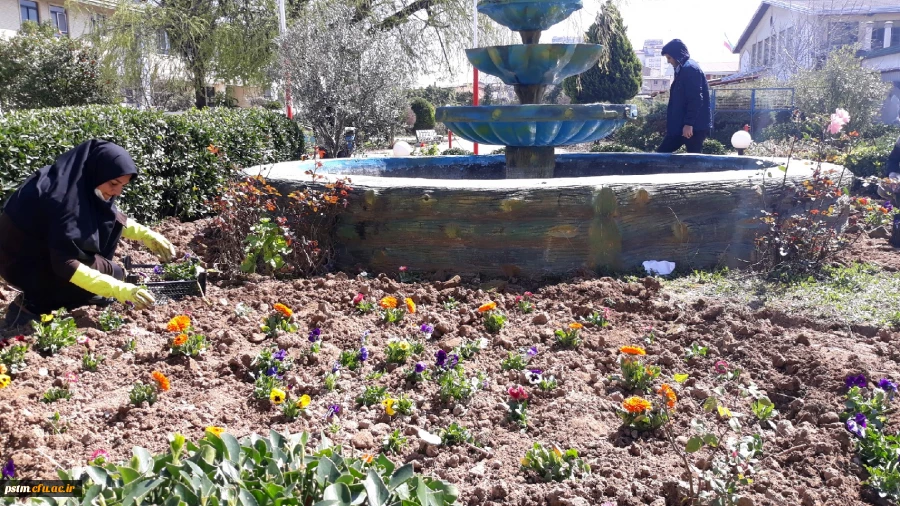 آماده سازی فضای سبز پردیس در آستانه فرا رسیدن بهار به روایت تصویر 6