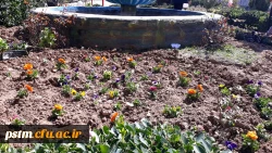 آماده سازی فضای سبز پردیس در آستانه فرا رسیدن بهار به روایت تصویر 7